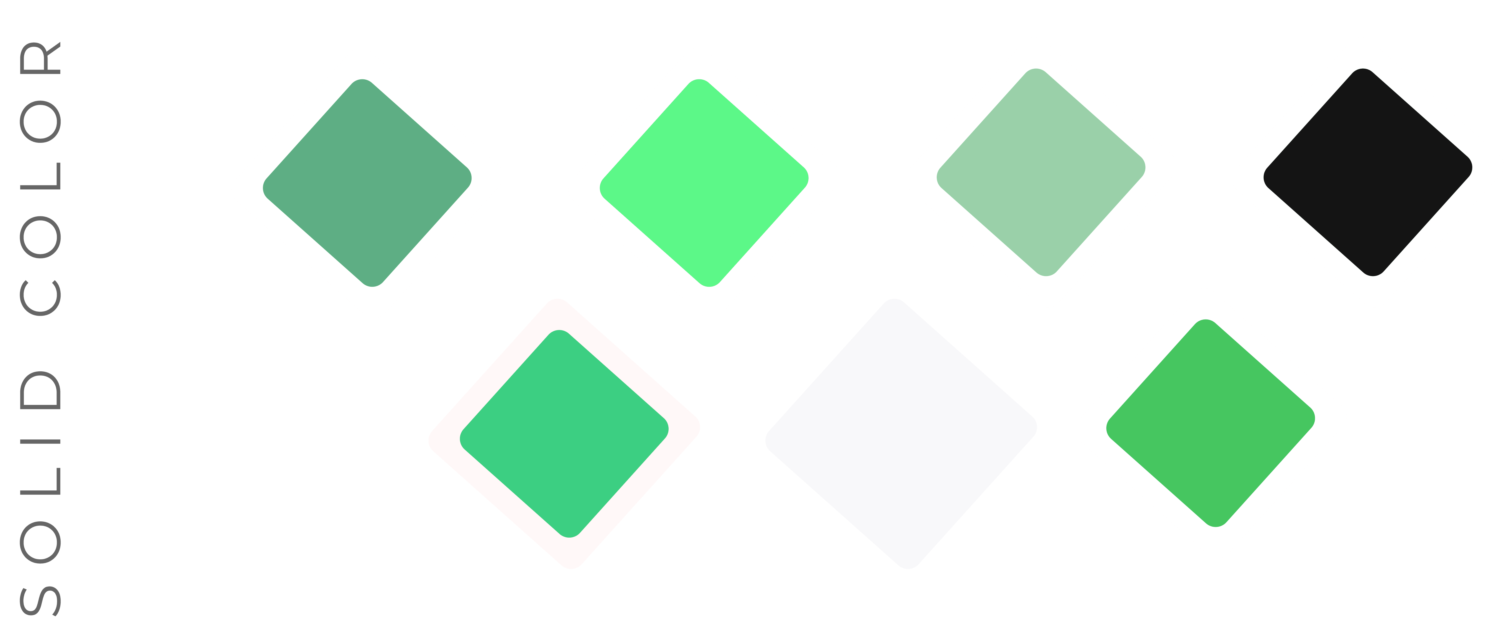 color-palette